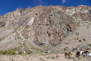 14 Mules At Pampa de Lenas 2862m On The Trek To Aconcagua Plaza Argentina Base Camp